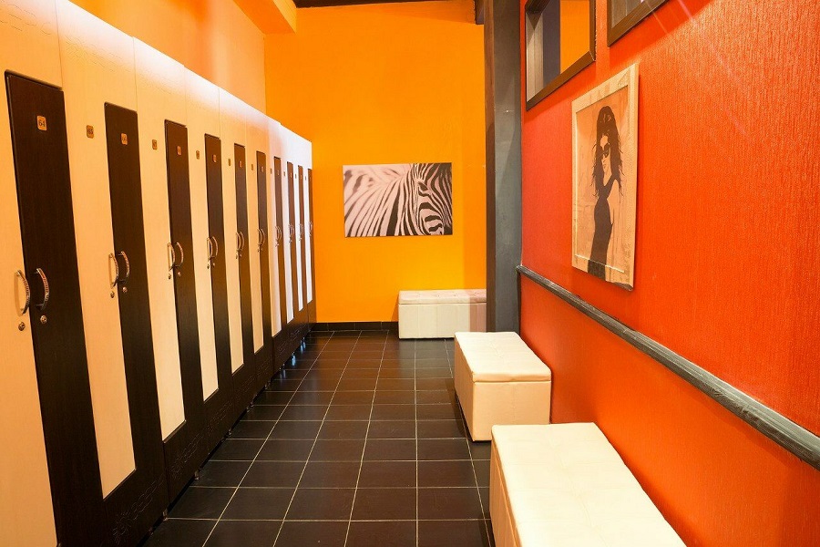 Зебра, м. Павелецкая