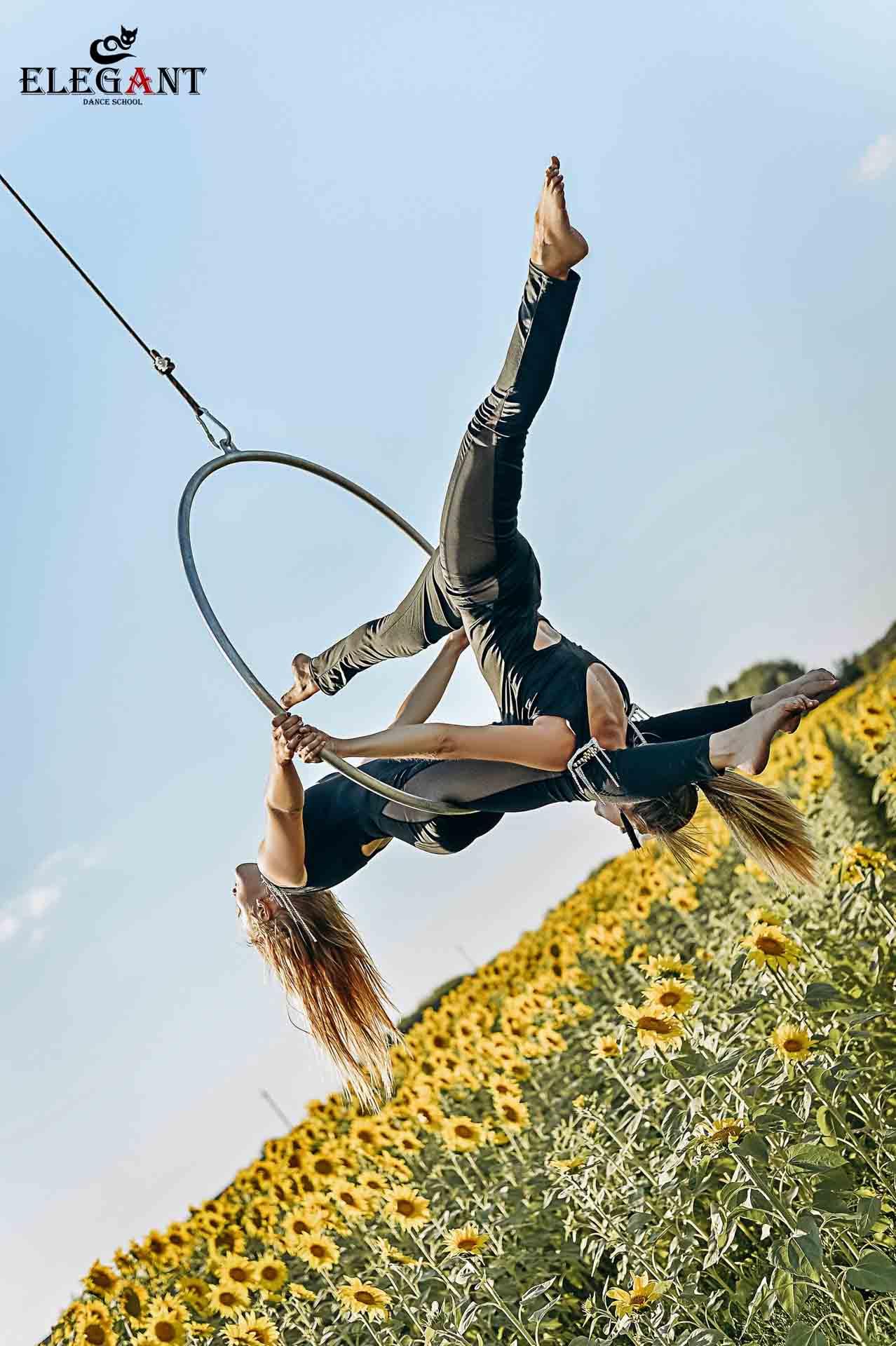 Elegant Pole Dance Kursk