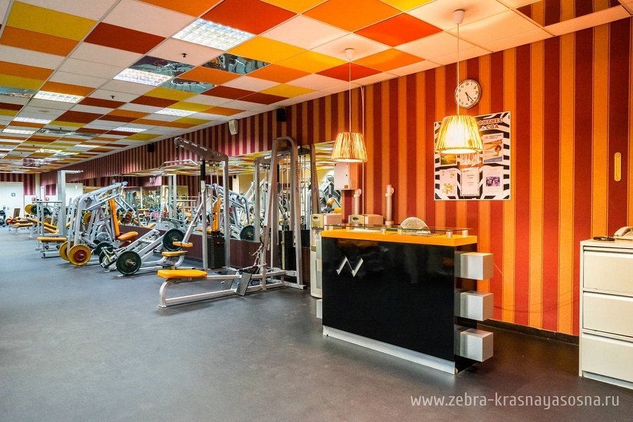 Зебра, м. Свиблово