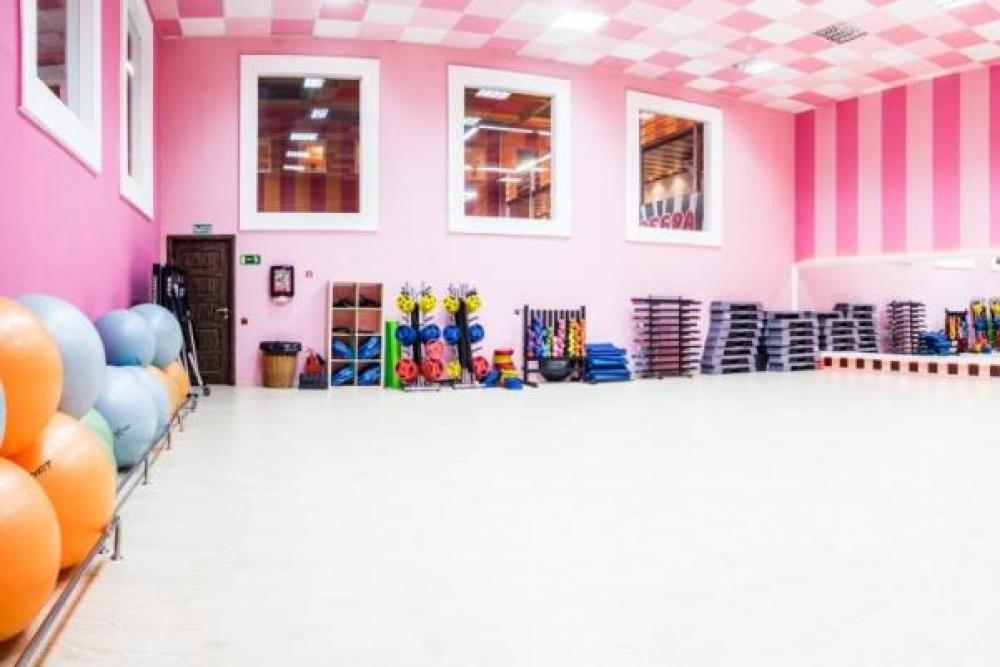 Зебра, м. Павелецкая