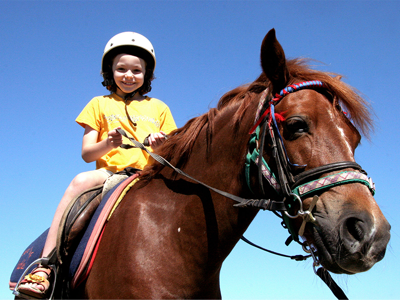 Администратор