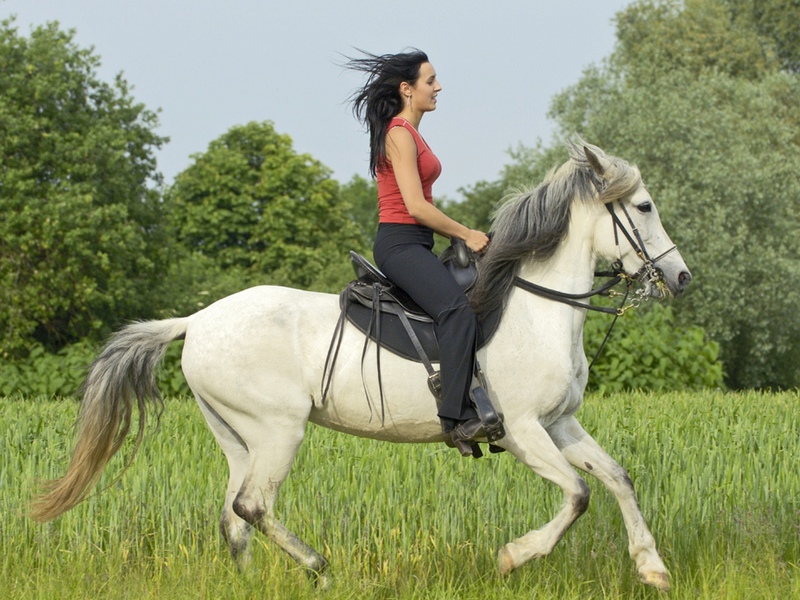 Администратор