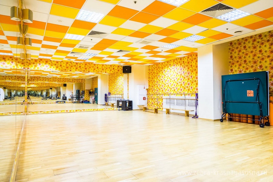 Зебра, м. Свиблово