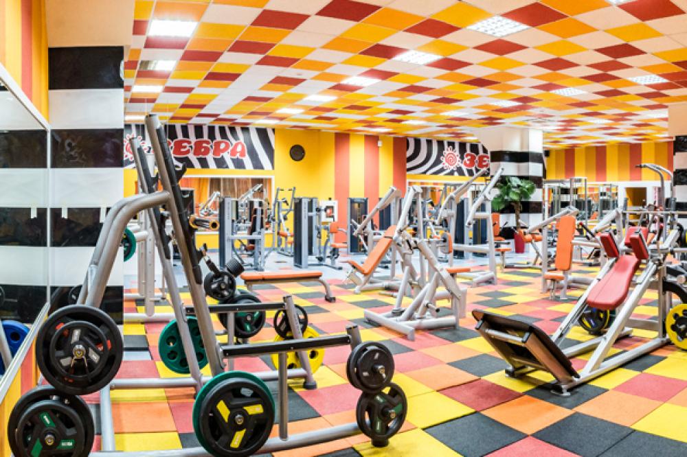 Зебра, м. Калужская