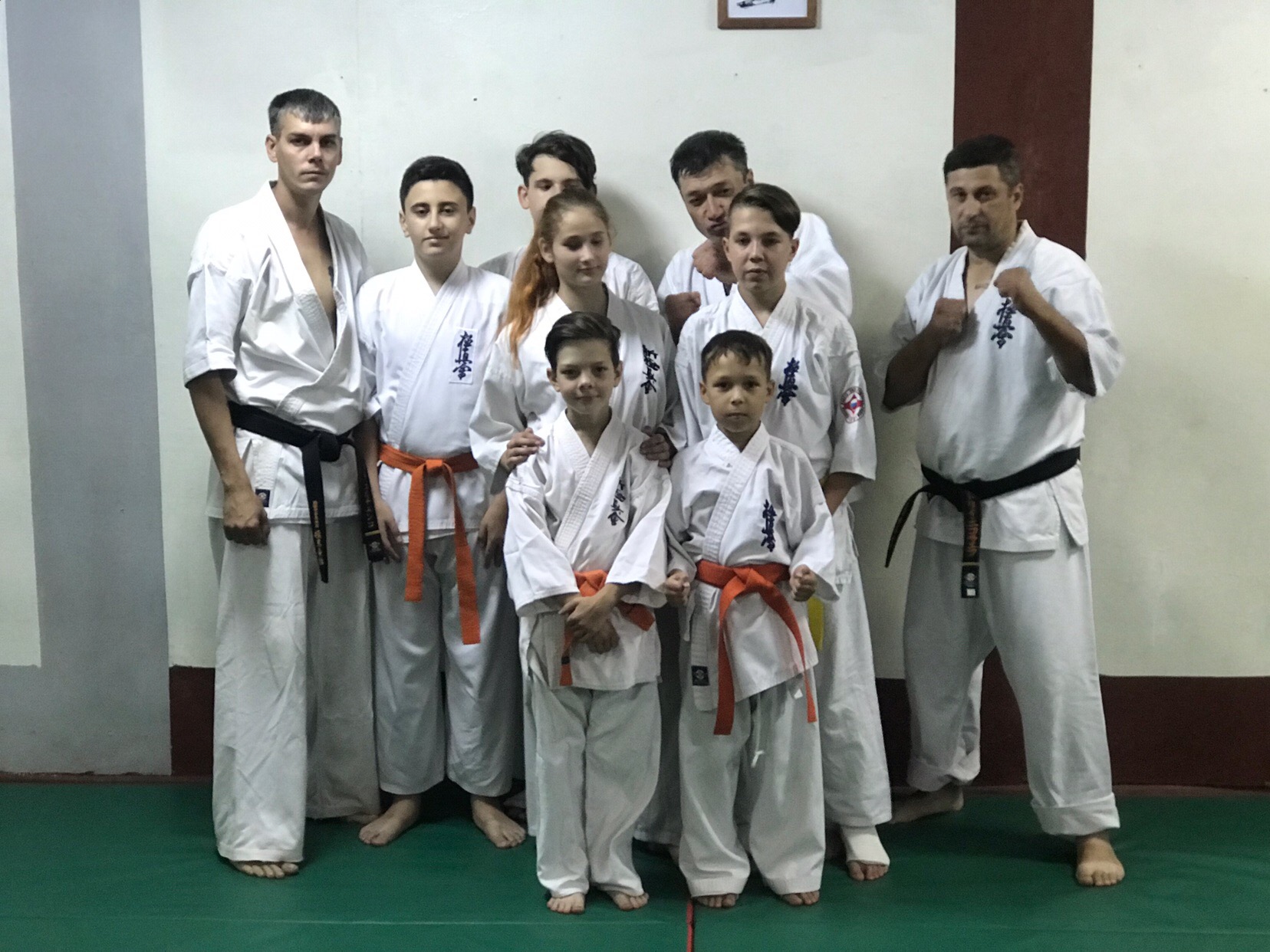 Северный волк