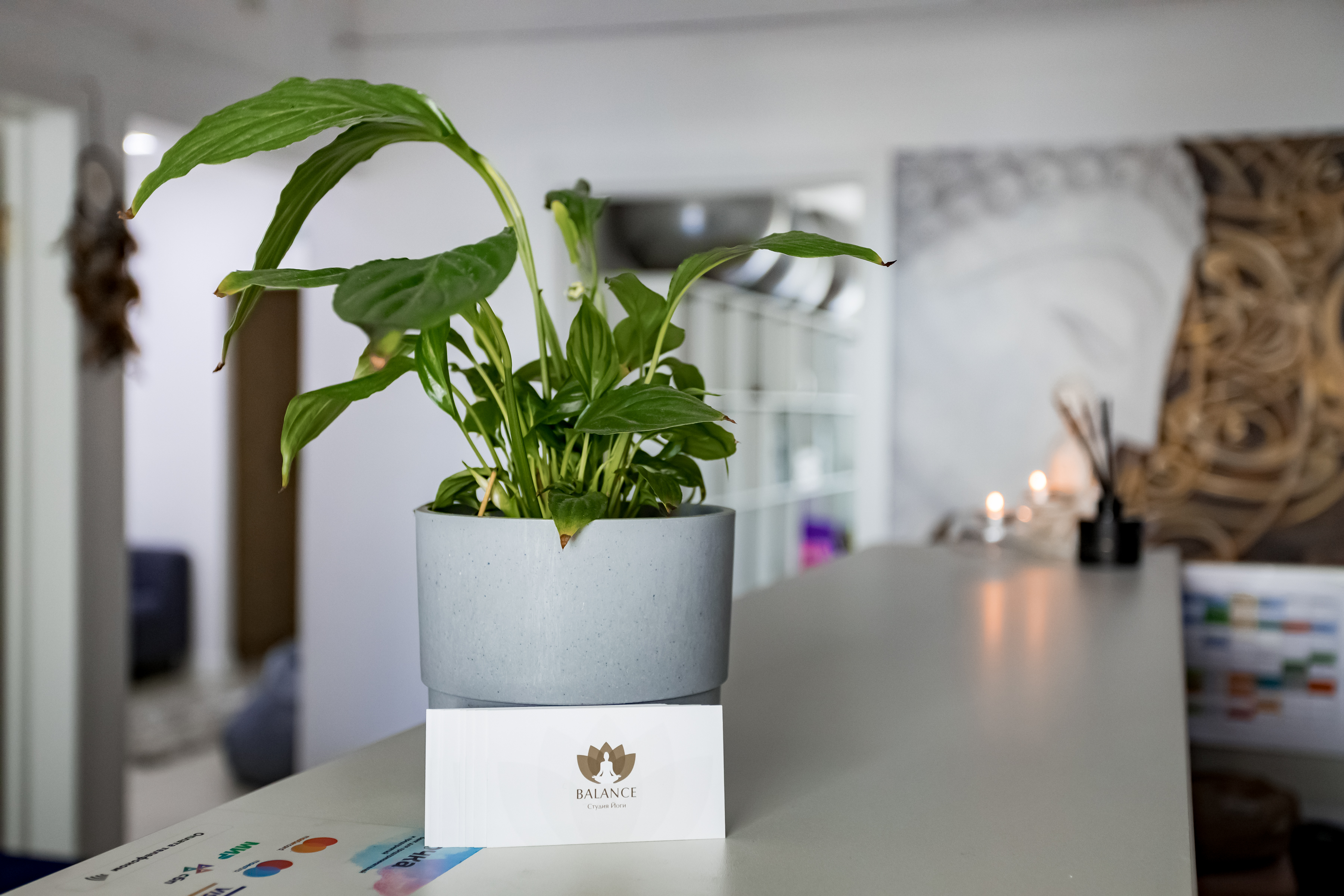 YOBALANCE, Некрасовка