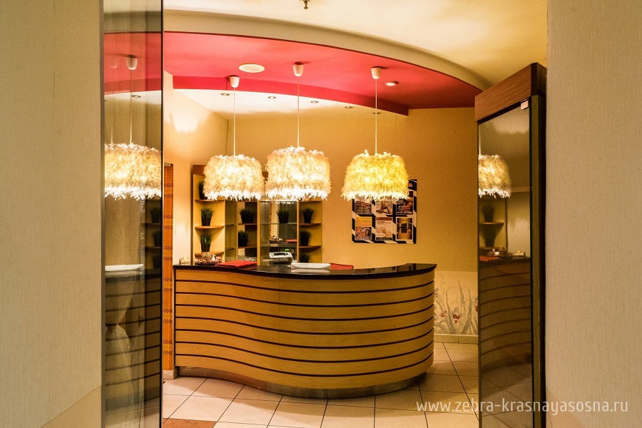 Зебра, м. Свиблово