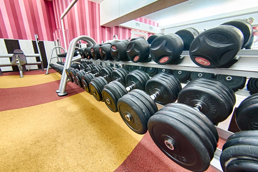 Зебра, м. Бауманская