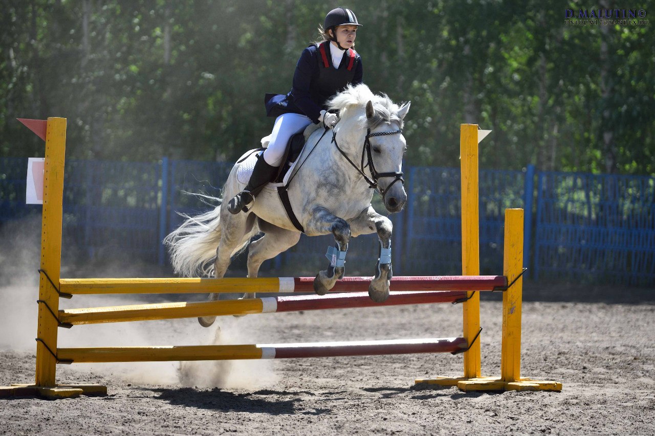 Сосновый бор