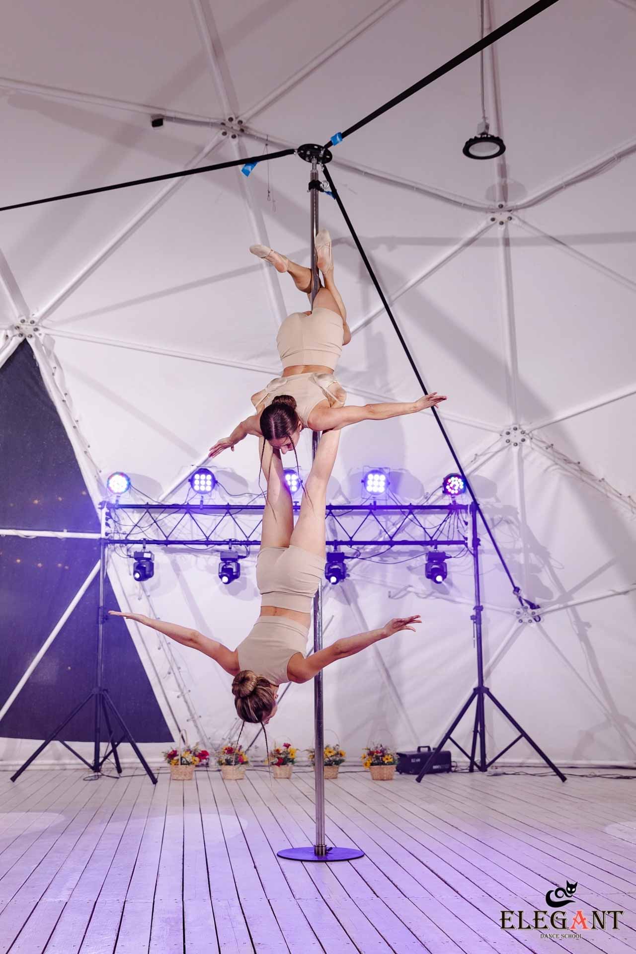 Elegant Pole Dance Kursk