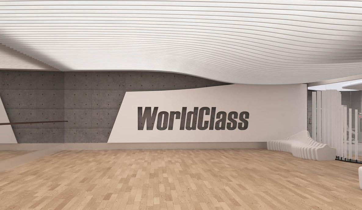 World Class Оружейный