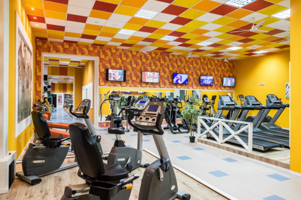 Зебра, м. Калужская