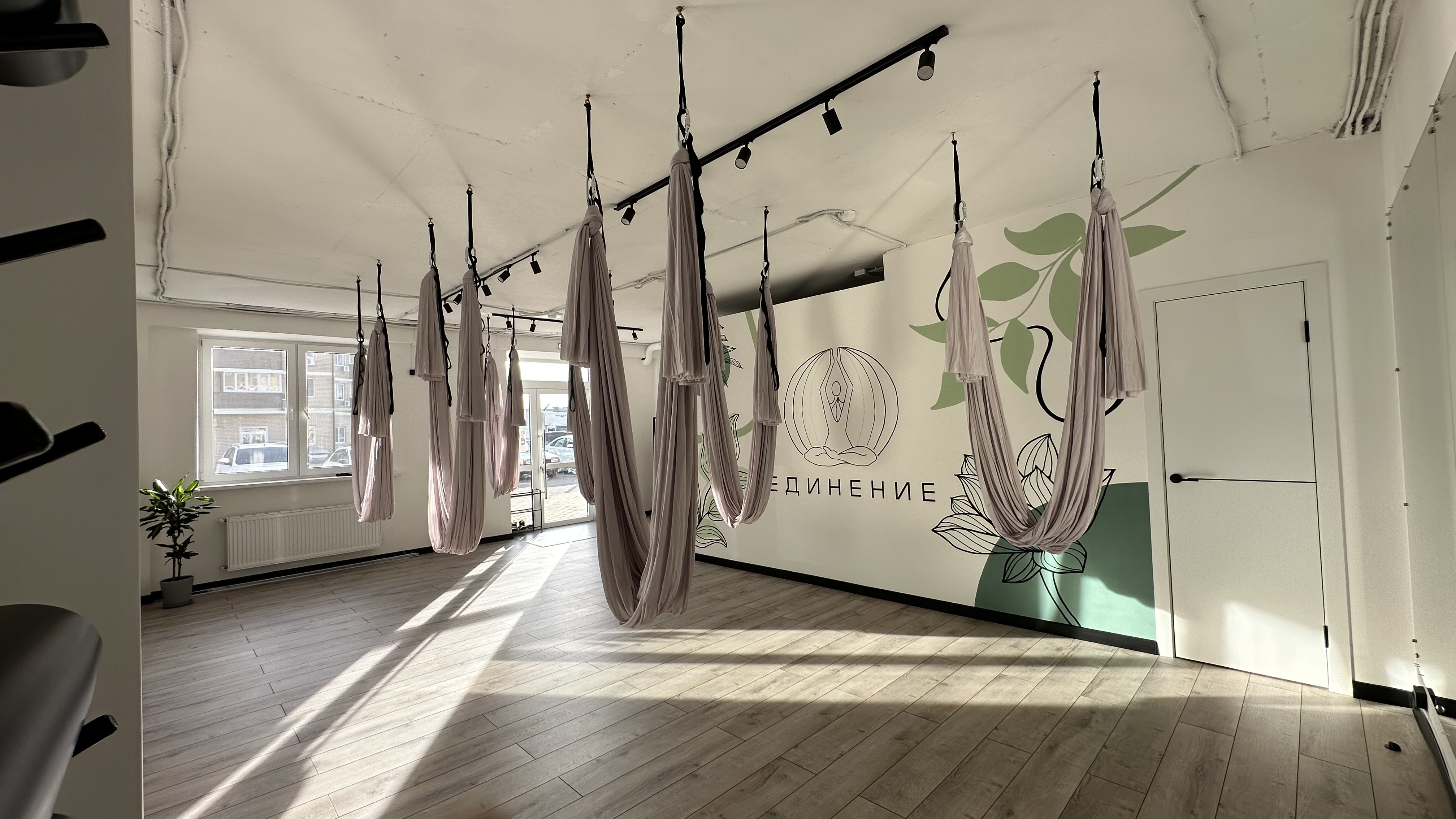 ЕДИНЕНИЕ студия йоги и барре