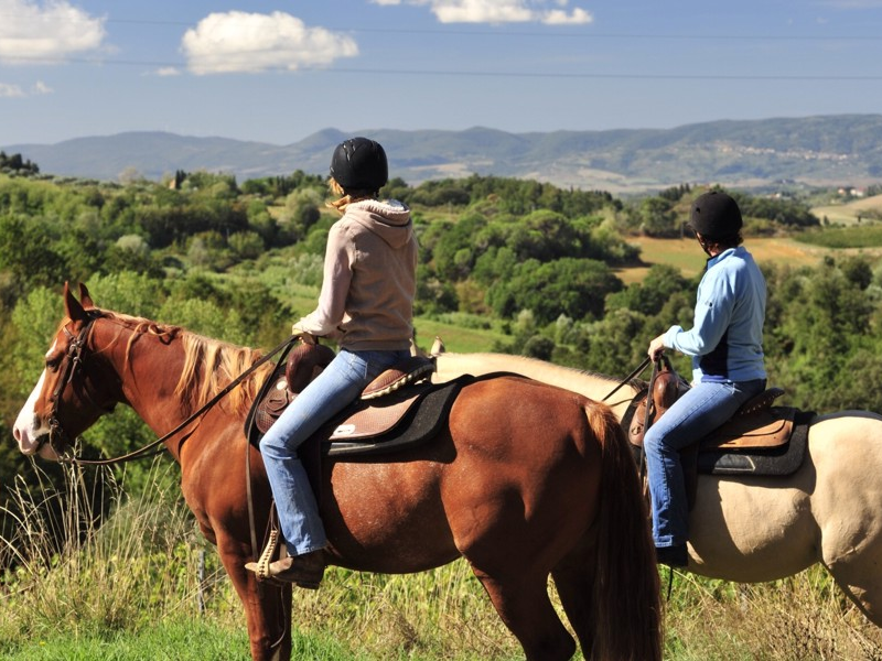 Администратор