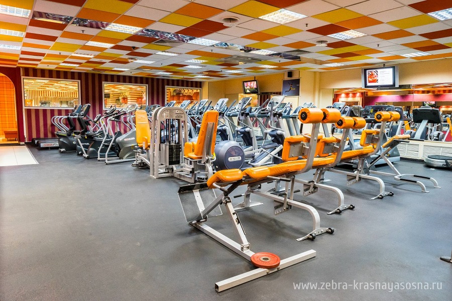 Зебра, м. Свиблово