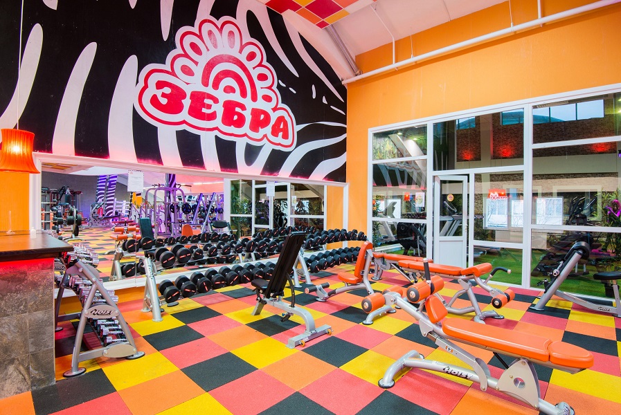 Зебра Алтуфьево