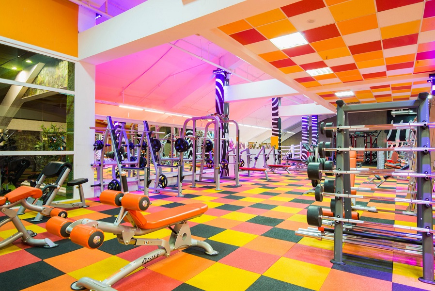 Зебра Алтуфьево