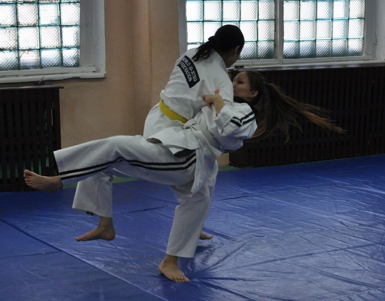 Всемирная федерация джиу-джитсу Новосибирск