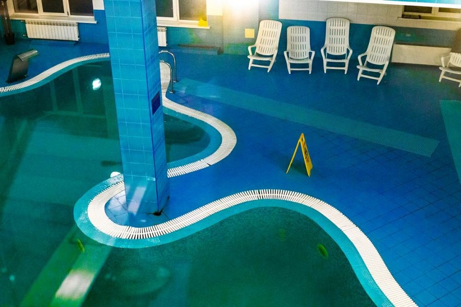 Зебра, г. Щёлково