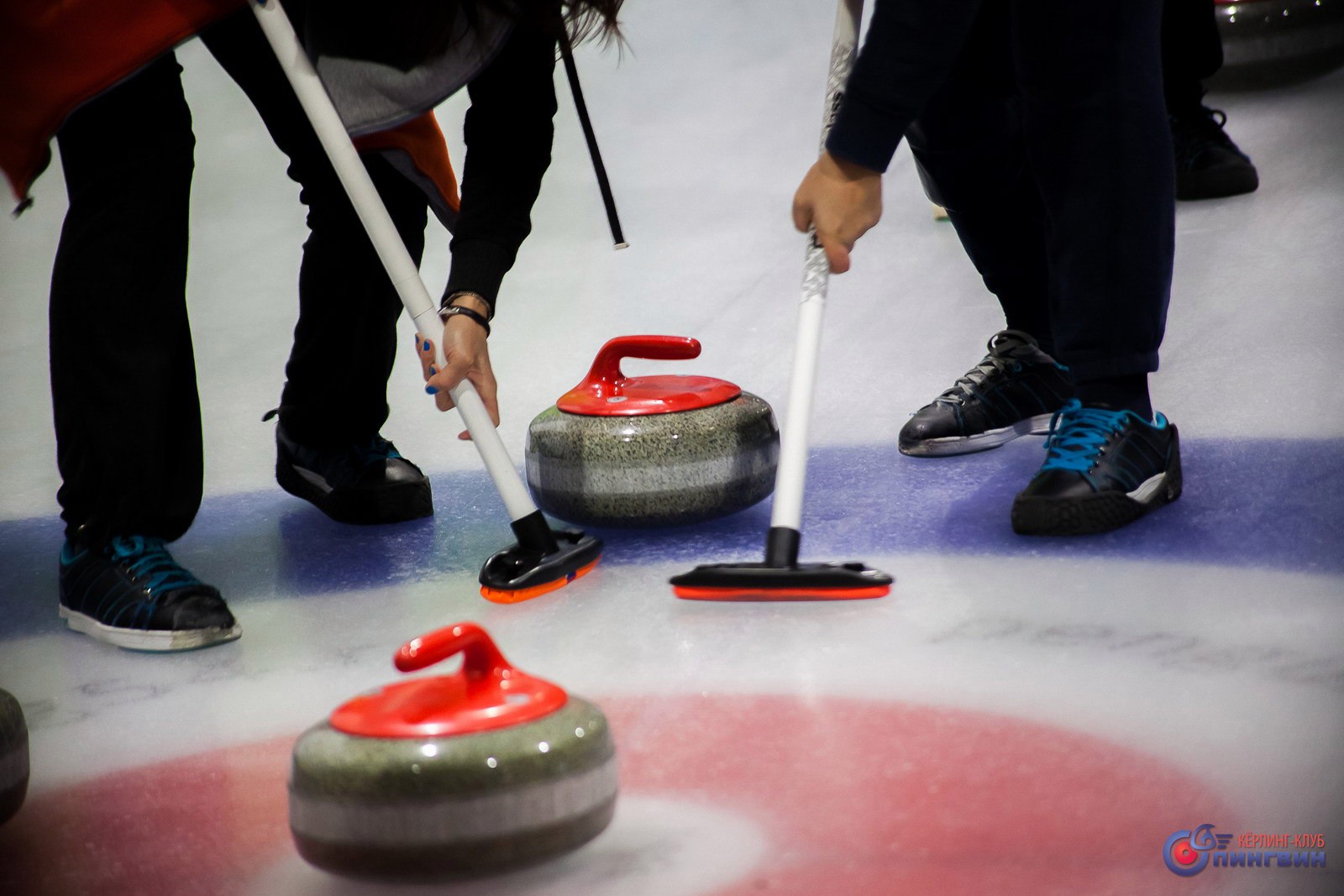 Кёрлинг-клуб «ПИНГВИН»