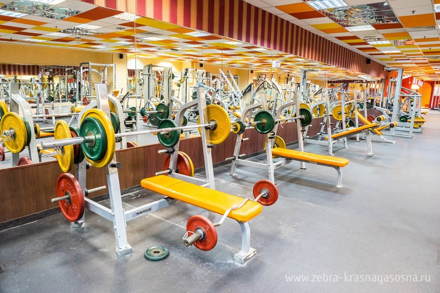 Зебра, м. Свиблово