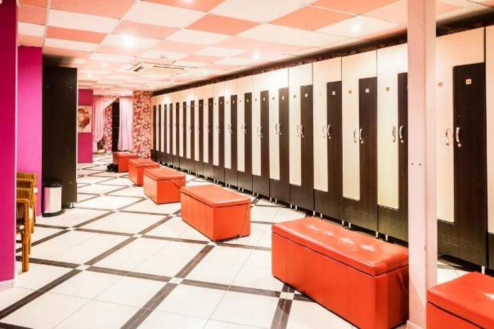 Зебра, м. Павелецкая