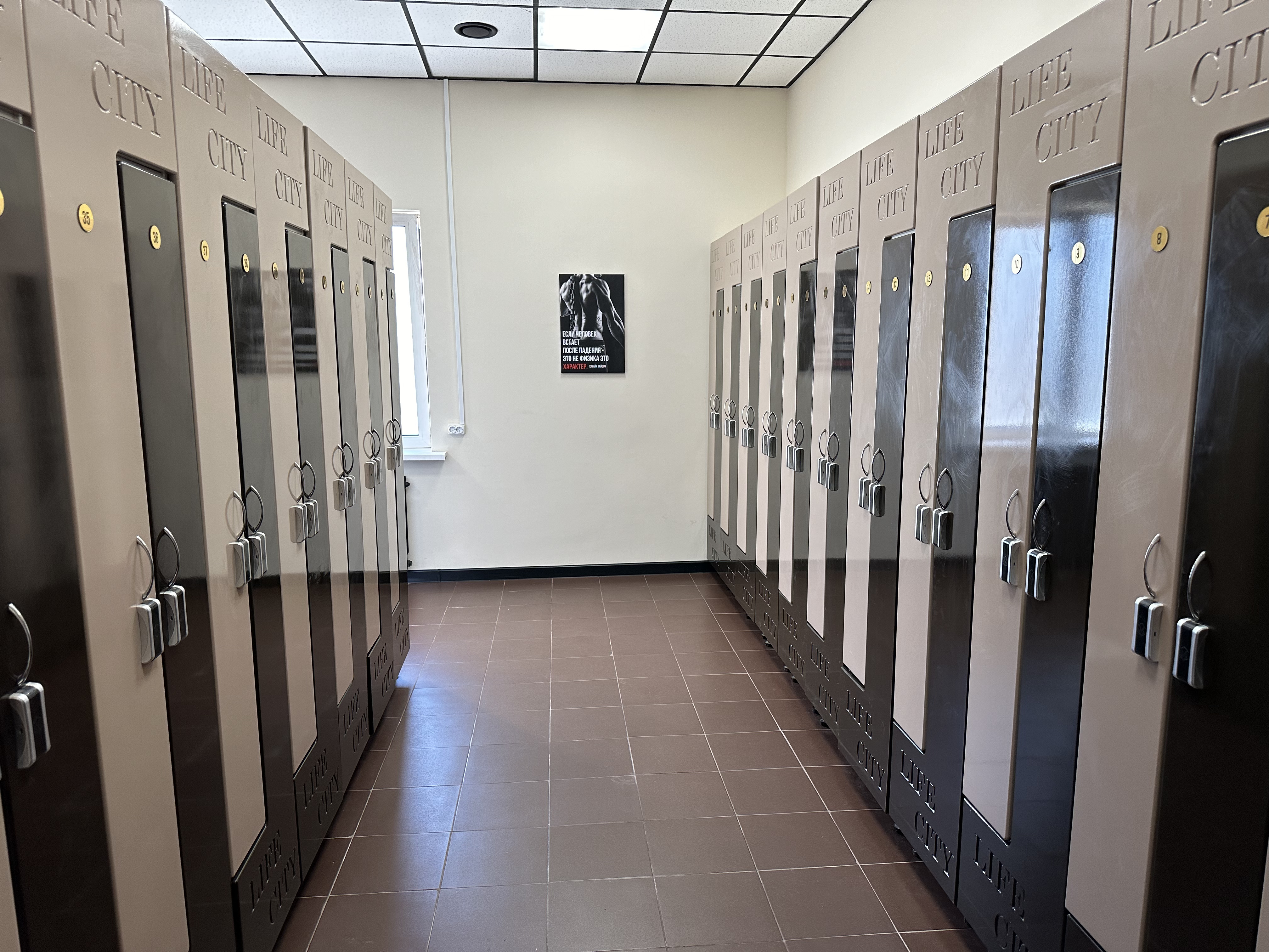 Re'форма MATRIX