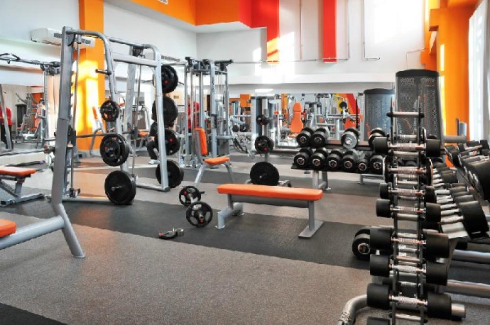 Зебра, м. Нижегородская