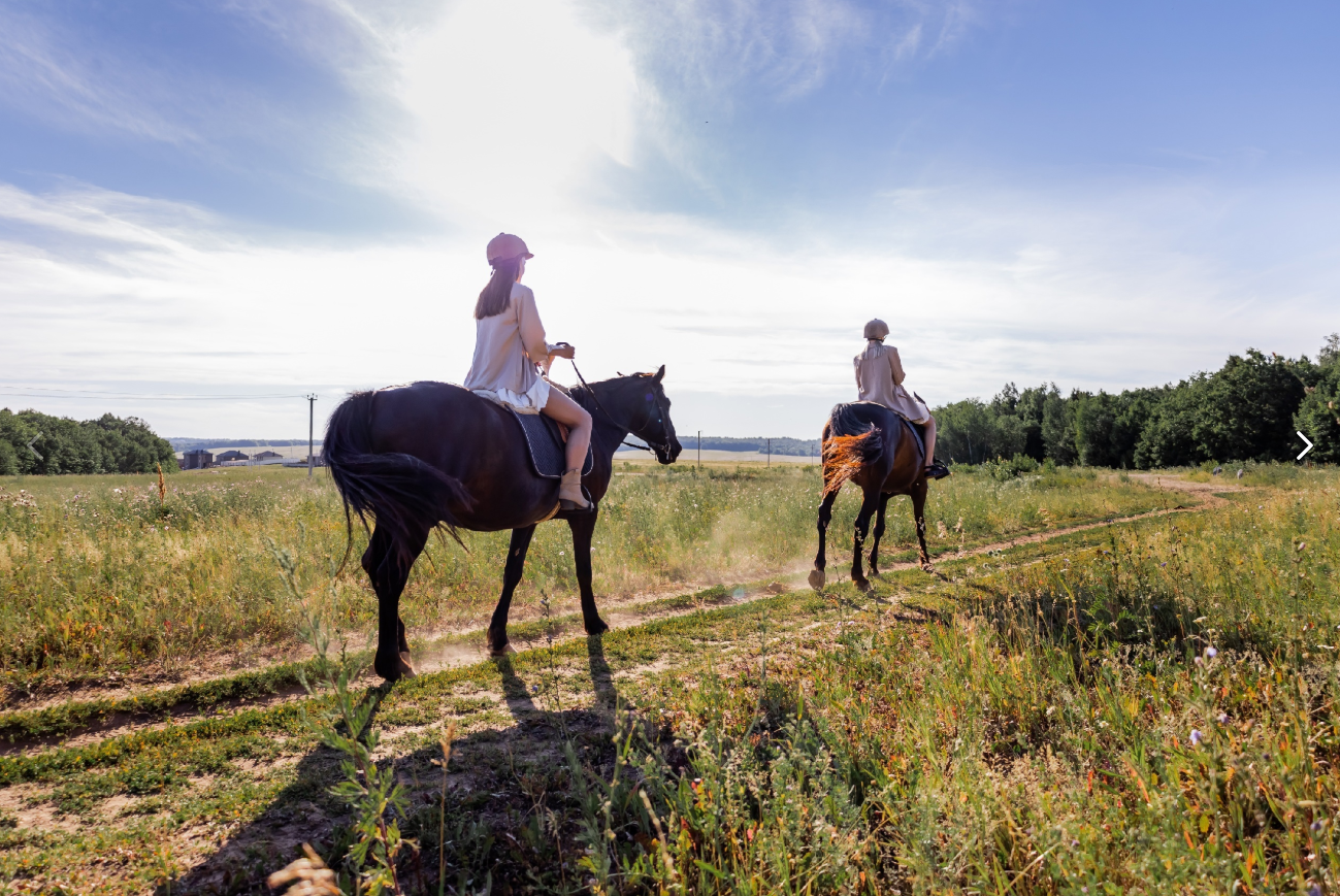 Индивидуальная конная прогулка на двоих с фотосессией