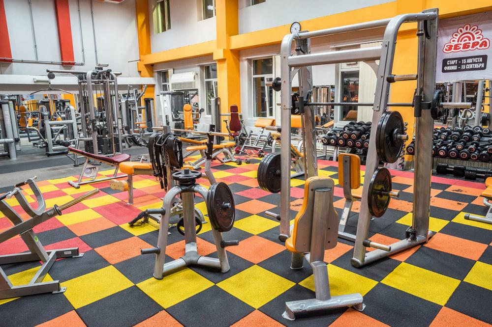 Зебра, м. Нижегородская