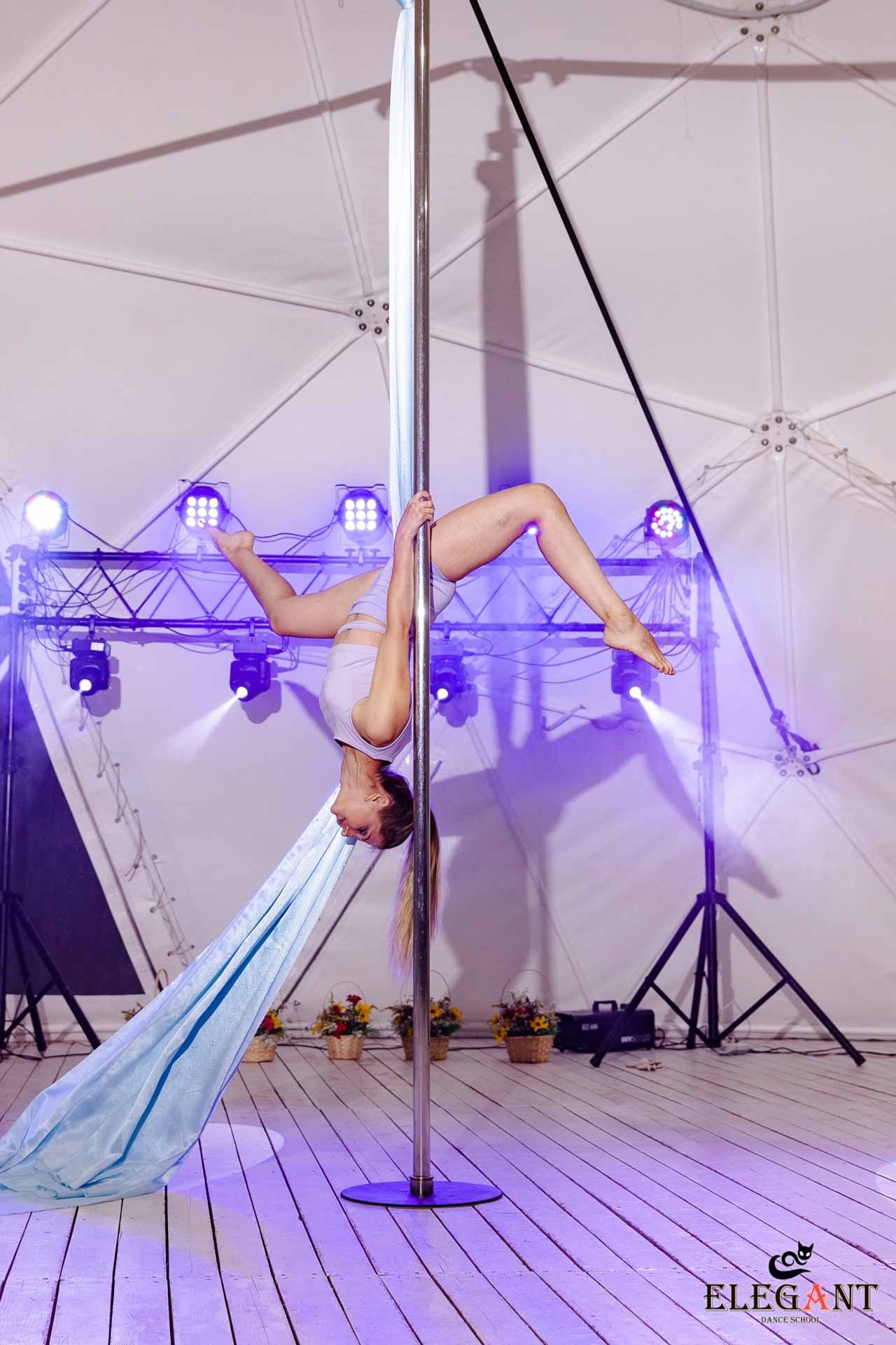 Elegant Pole Dance Kursk
