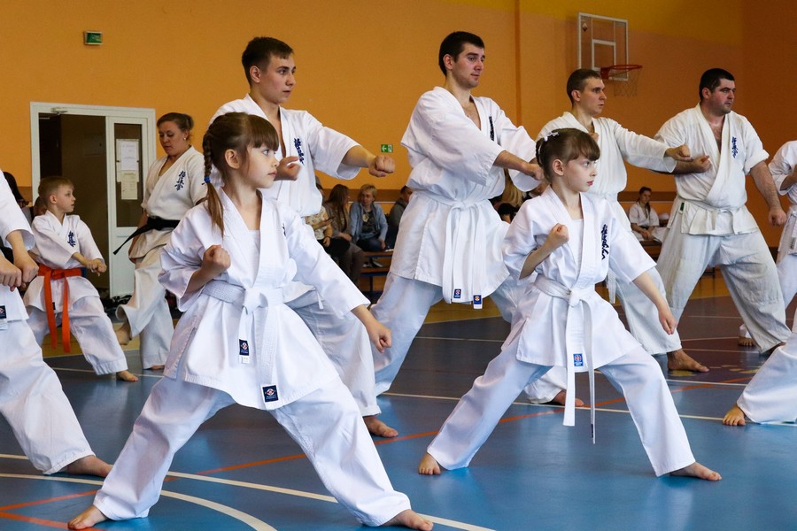 Сёгун Додзё