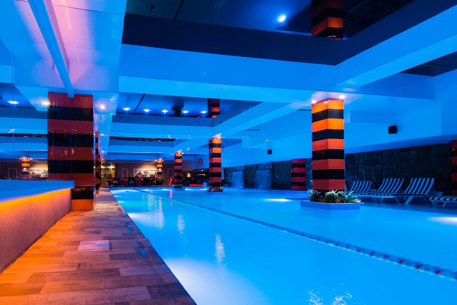 Зебра Алтуфьево