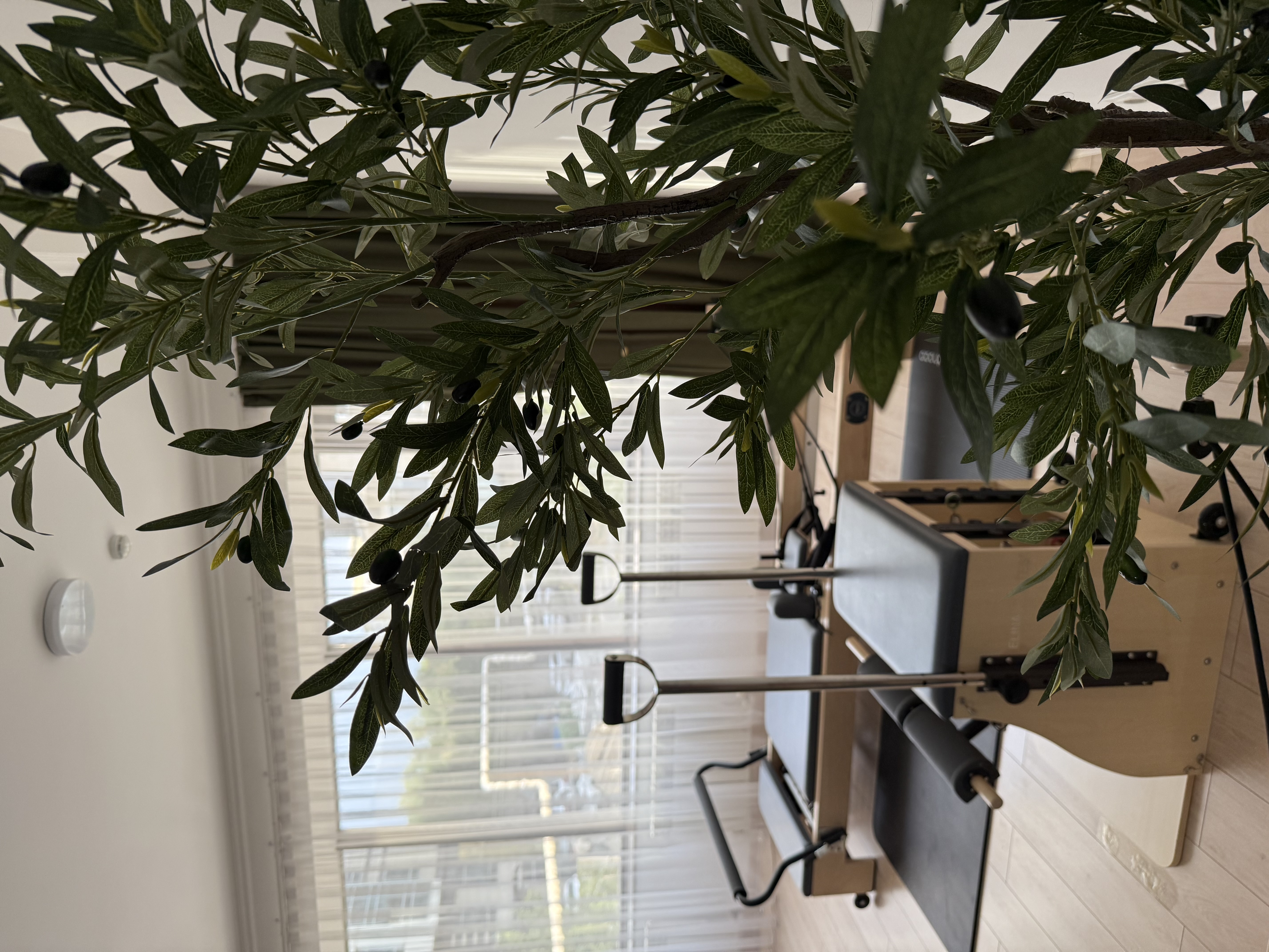 Olive Pilates - 1 Tengiz Towers