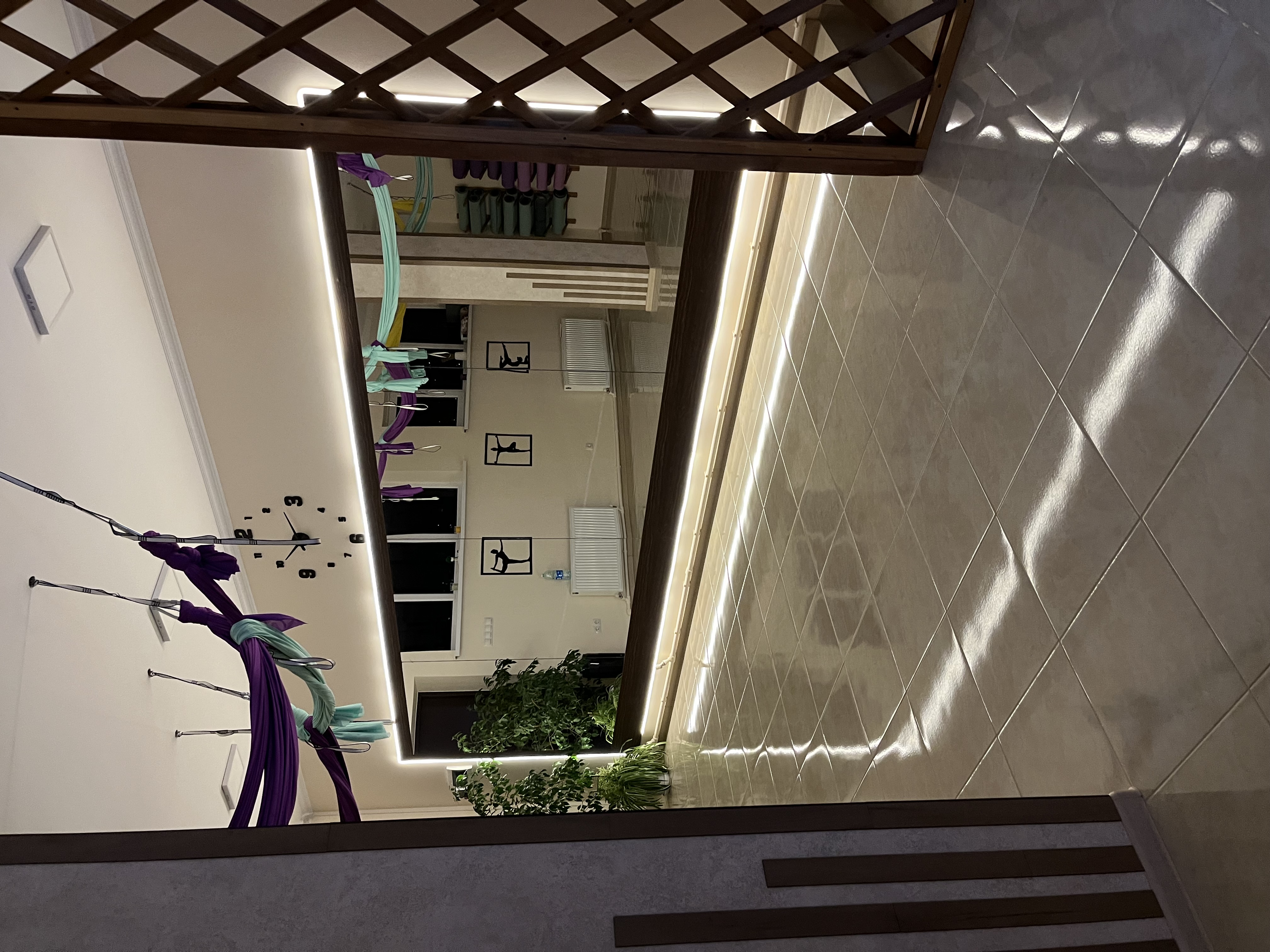 Studio Fly Yoga and Bellydance