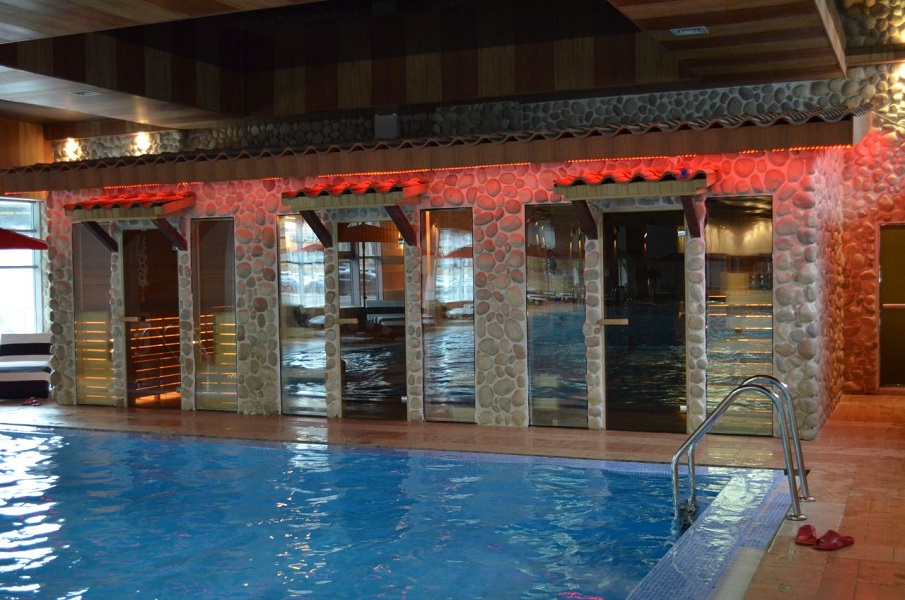 Зебра Олимпийский