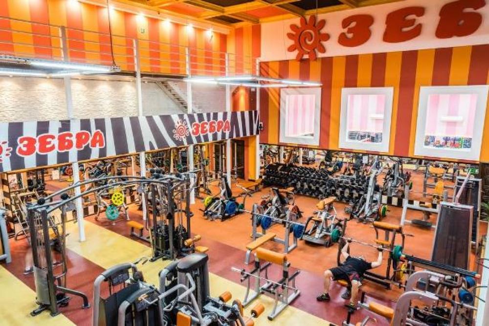 Зебра, м. Павелецкая