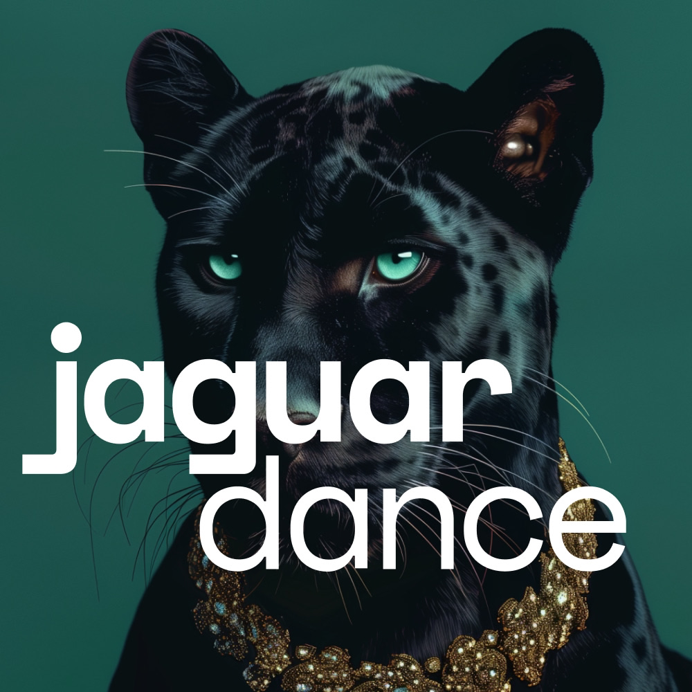 Jaguar Dance, студия танца в Перми