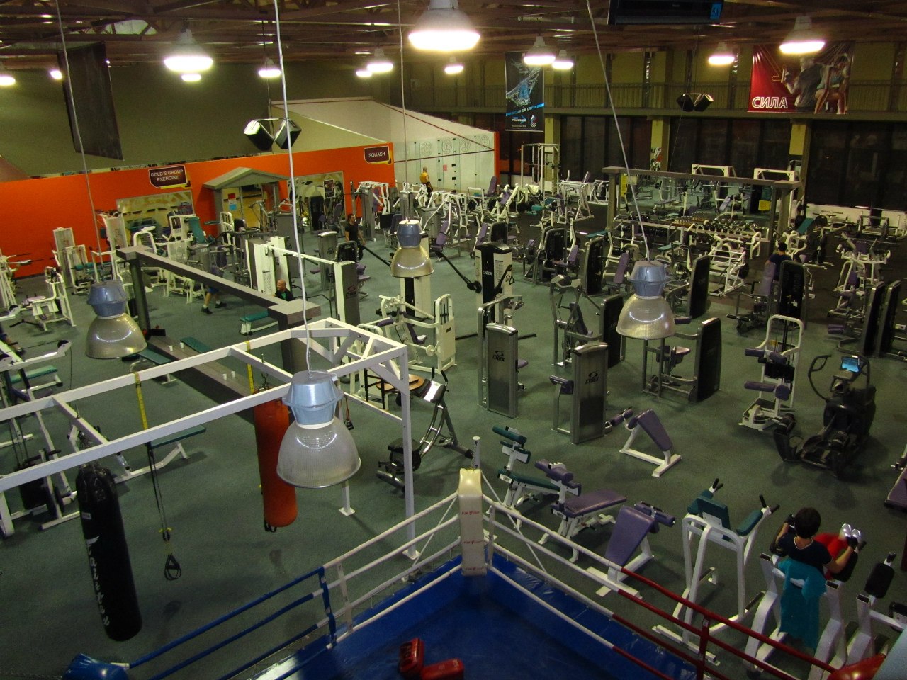 Gold’s Gym Динамо