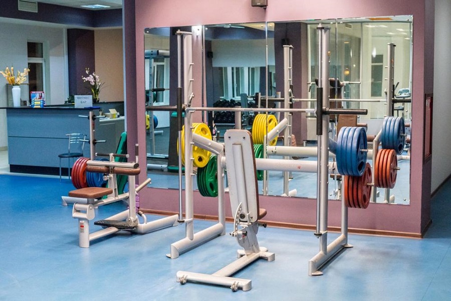 Зебра, г. Щёлково