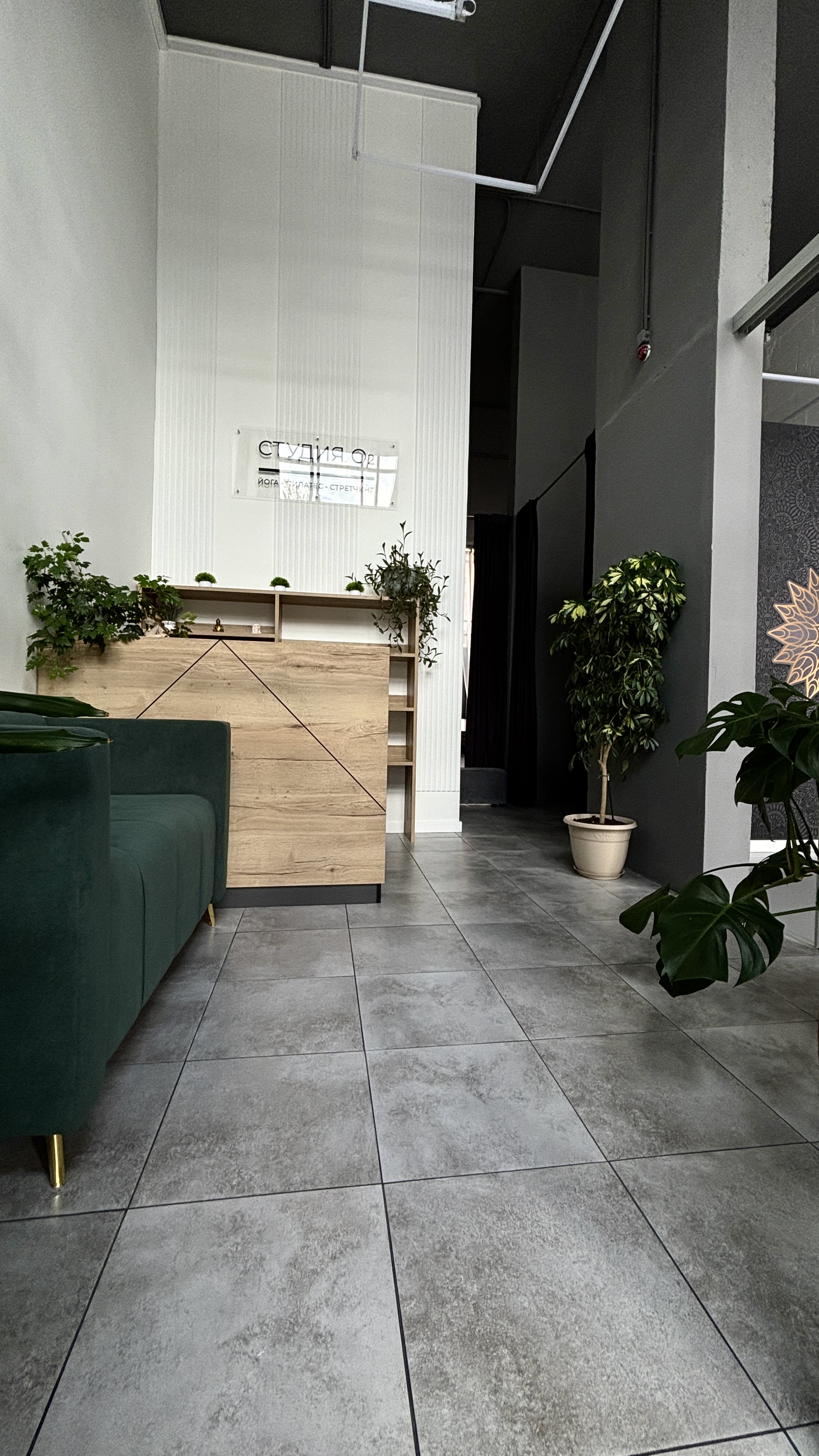 Студия йоги «Студия О2»