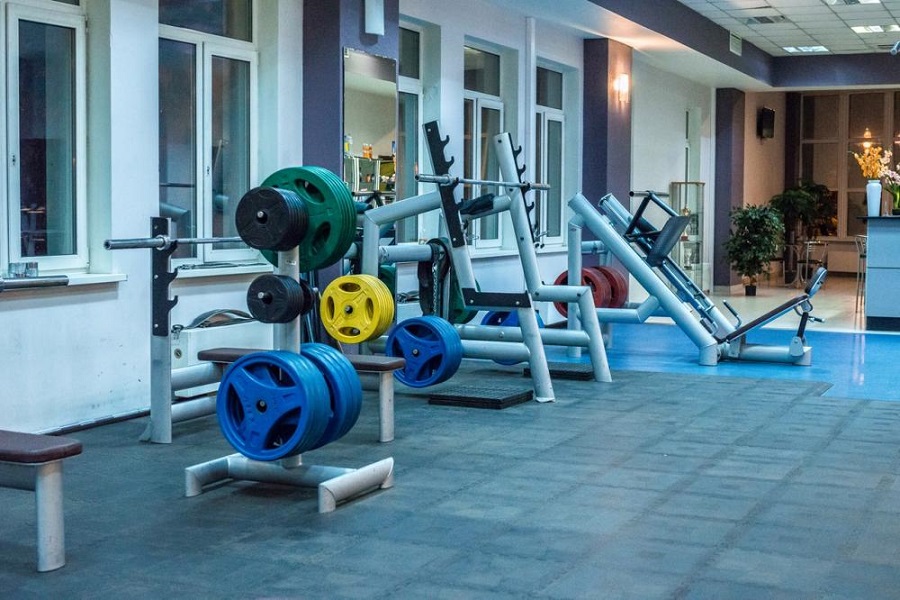 Зебра, г. Щёлково