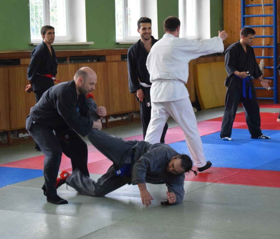 Джиу-джитсу для взрослых