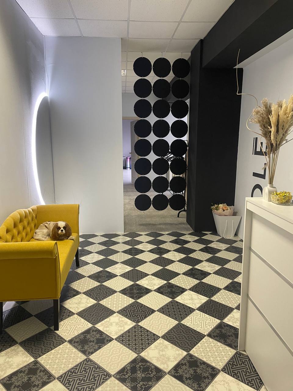 Пробная тренировка