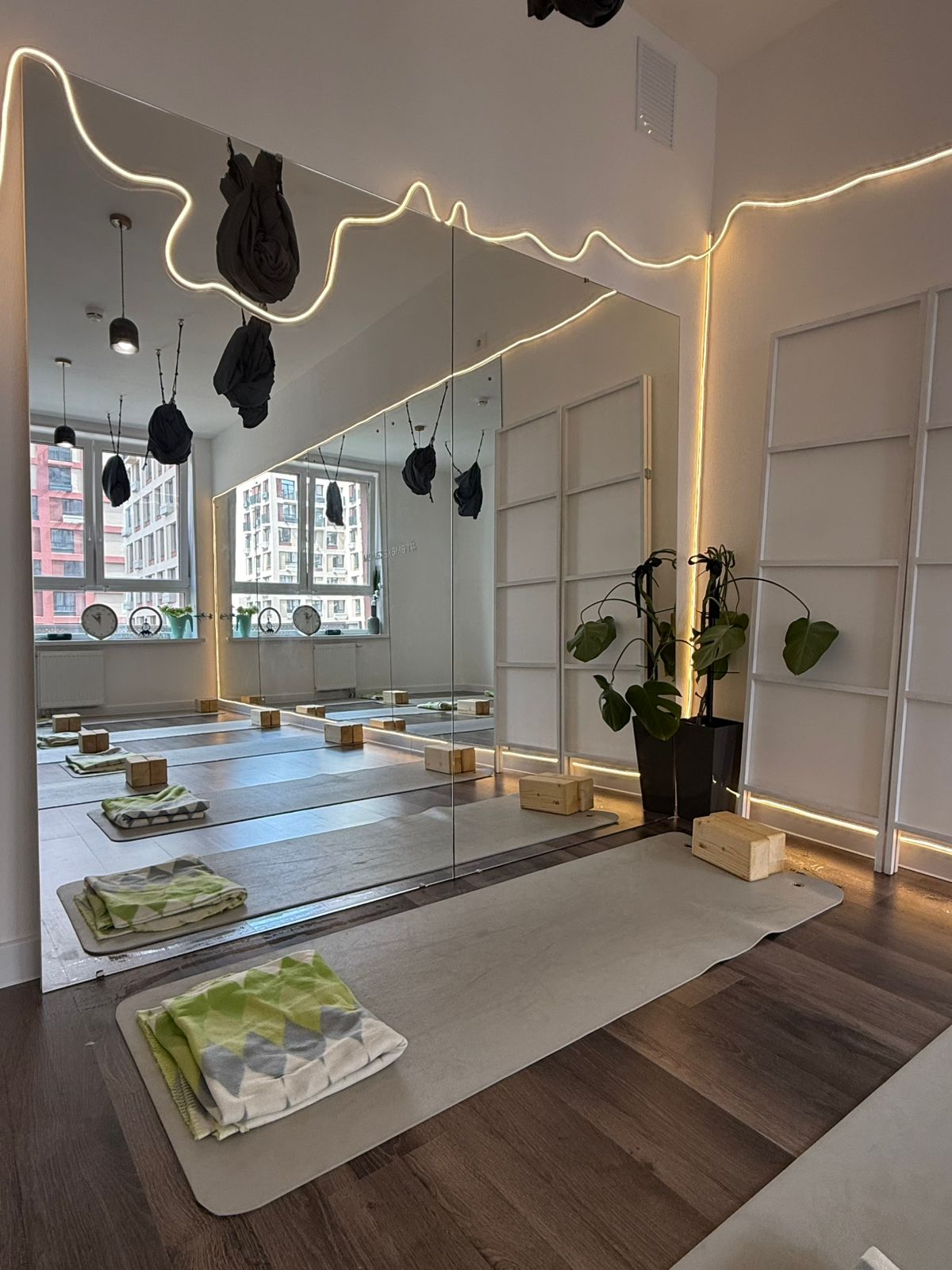 Любопытный