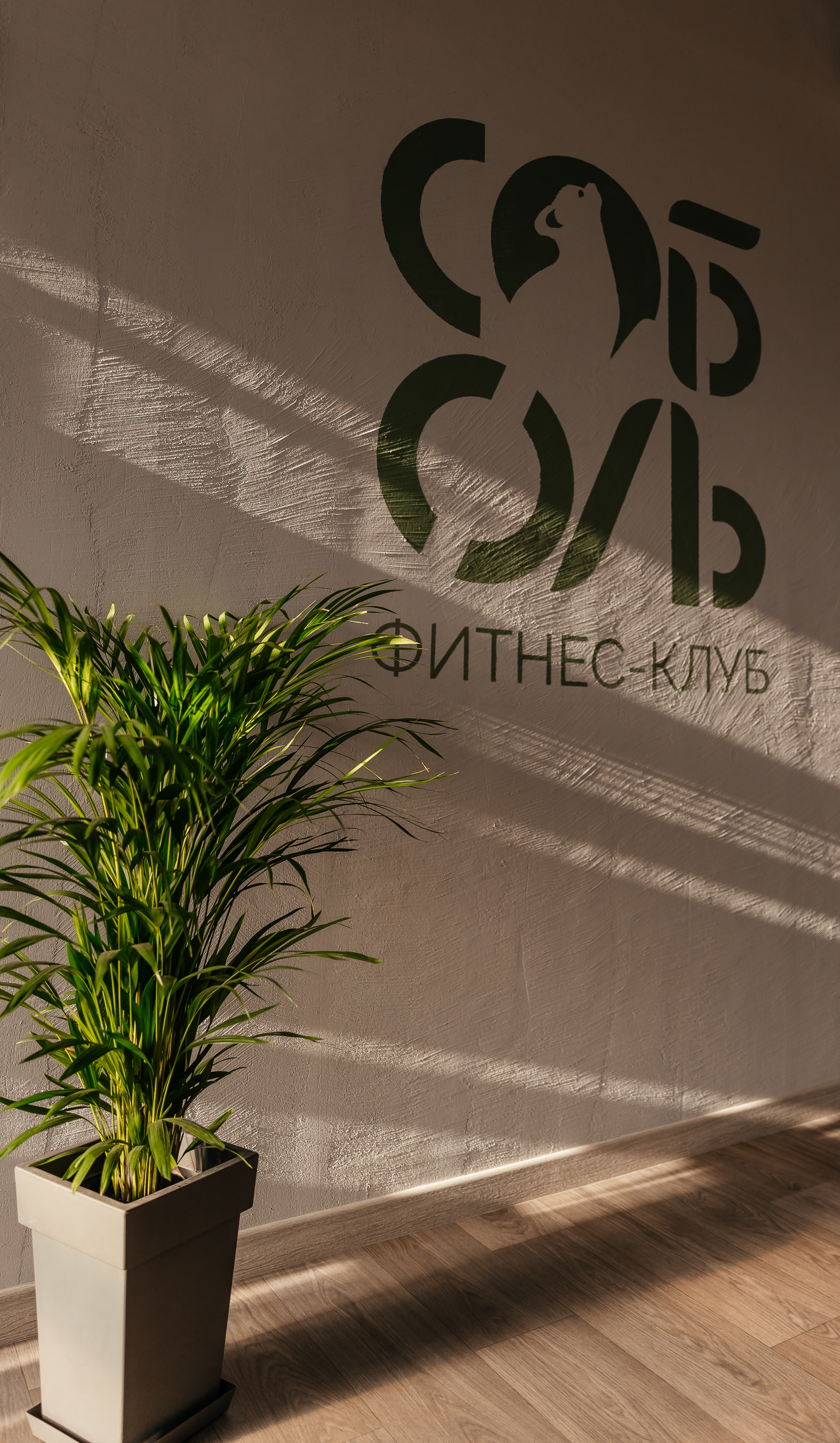 Безлимит тренажерный зал