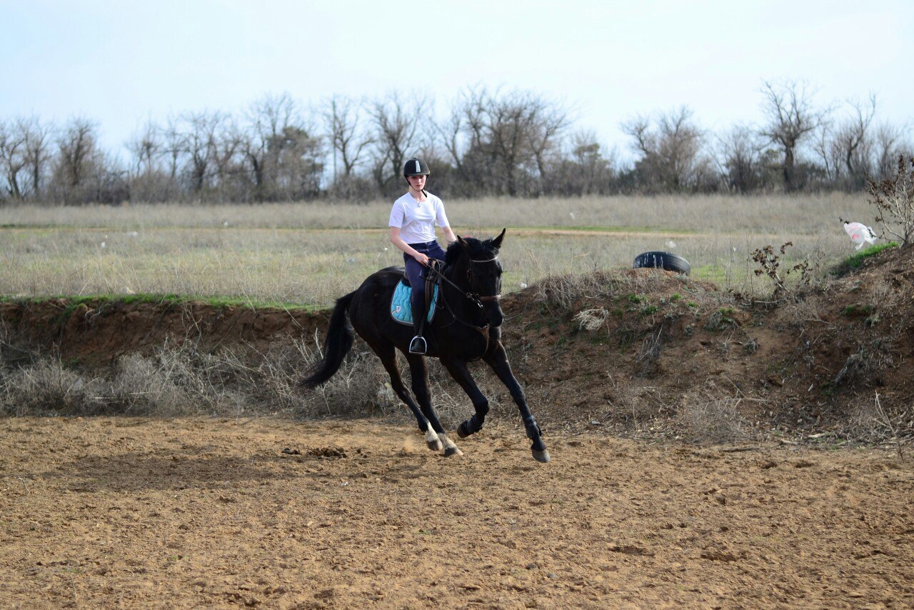 45 минут конной прогулки