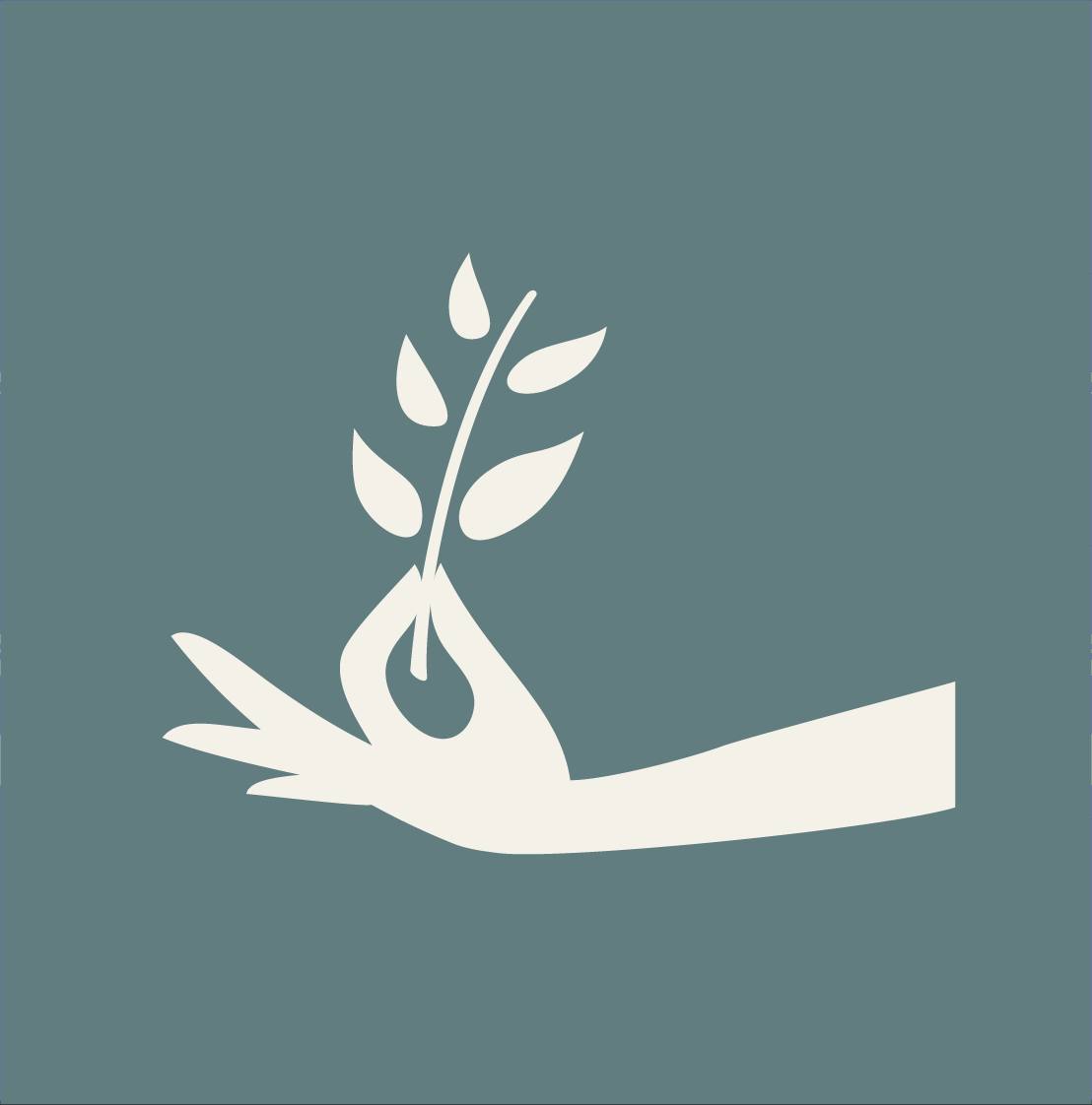 Абонементы на практику йоги