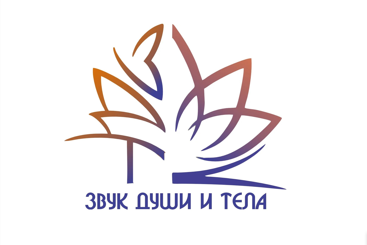 12 практик
