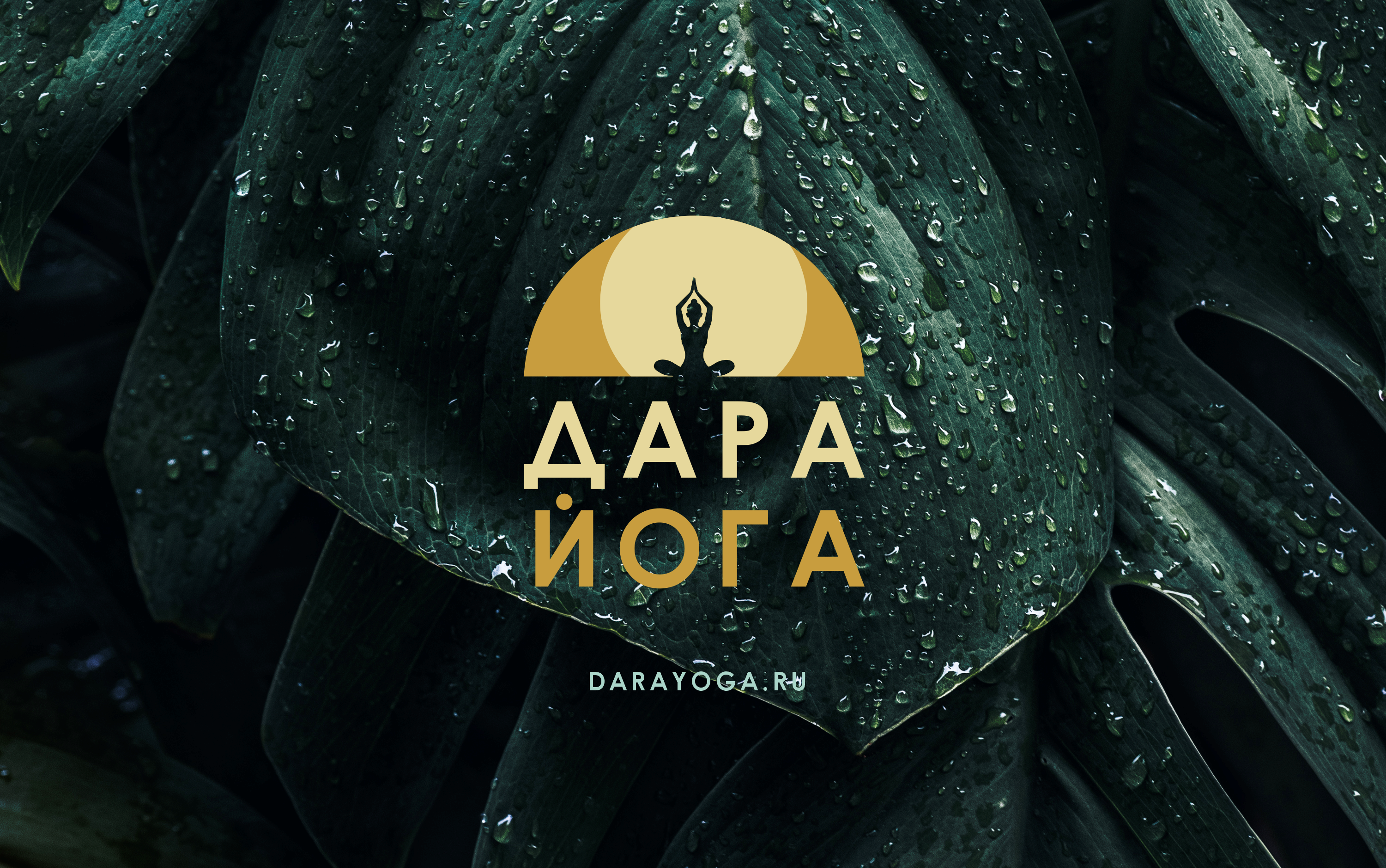 Основной абонемент на все виды практик